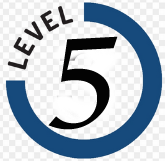  Project Support from the Top (Level 5 Corporate)